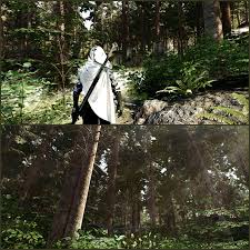 Forest Porn : rskyrim