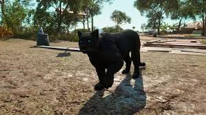 Here's what time you can suit up as the black panther and get fighting for. How To Unlock Oluso In Far Cry 6 Ginx Esports Tv