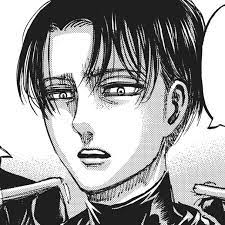 It is set in a world where humanity lives inside cities surrounded. Levi Ackerman Attack On Titan Wiki Fandom