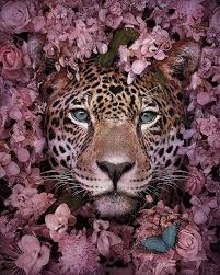 This Visual Artist Uses His Magical Skills To Raise Awareness For Engangered Species Endangered Animals Animals Beautiful Animal Photography
