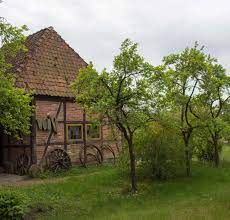 die alte schmiede in schwerin muess schwerin schweriner see freilichtmuseum