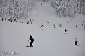 Enjoy the videos and music you love, upload original content, and share it all with friends, family, and the world on youtube. Vacanta De Iarna La Arieseni Retete Culinare Cu Laura Sava