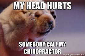 Chiropractic Funny Animal Pictures Funny Saturday Memes Funny New Years Memes