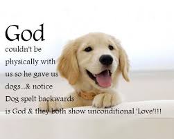 26 Dog Quotes About Love And Compassion Dog Quotes Love Dog Quotes Dog Quotes Funny