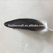 Welcome to the photos page. Most Popular Eagle Feather With Different Size For Sale Buy Eagle Feathers For Sale Most Popular Eagle Feather Eagle With Different Size Product On Alibaba Com