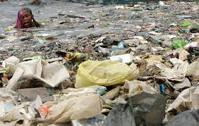 Feeding 7 Billion And Our Fragile Environment World Water Day World Water Pictures