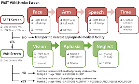 Image result for VAN Score