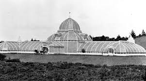 The conservatory of flowers is a greenhouse and botanical garden that houses a collection of rare and exotic plants in golden gate park, san. File Conservatory Of Flowers 1879 Jpg Wikipedia
