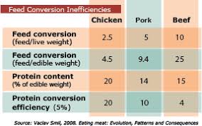 feed to meat conversion inefficiency ratios a well fed world