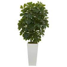 Nearly Natural 40 In Schefflera Artificial Plant In White Vase Real Touch 6381 The Home Depot Artificial Plants Faux Plants Schefflera