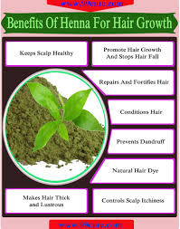  hindi henna for hair growth different uses of henna for hair. 8 Benefits Of Henna For Hair Growth Getatoz