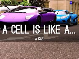 Check spelling or type a new query. Cell Analogy By Ayanna Maddox