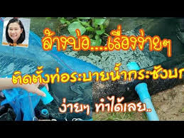 ต ดต งท อระบายน ำท งกระช งบก ล างบ อกบปลาง ายน ดเด ยว บ ญร กษาฟาร ม สวนผสมค ณตาเพ ง 6 6 2563 youtube กบ