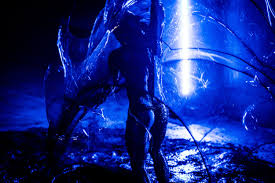 Bildergebnis für Joshua Serafin