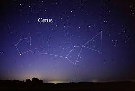 Yandex.translate works with words, texts, and webpages. Cetus Definition And Synonyms Of Cetus In The English Dictionary