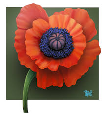 Image result for Poppy Red 1998 AAV