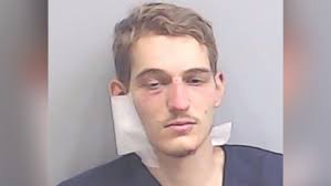 Matthew Lanz: Atlanta-area man accused of killing a couple in their home  and stabbing a police officer