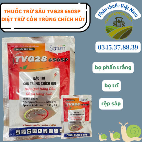 TVG28 650SP