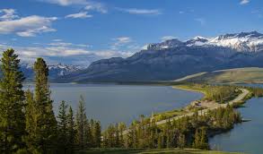 Cabin lake was named for a cabin which stood nearby. Jasper National Park The Scenic Drive East Of Jasper Is One Not To Be Missed Visit Jasper Lake Miette Hot Springs And The National Parks Scenic Drive Scenic