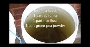 Youtube Fish Recipes Fish Culture