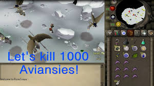 Aviansies in the god wars dungeon (10). Osrs Aviansies Killing Prayer 1000 Kills 1 By Dale Grant