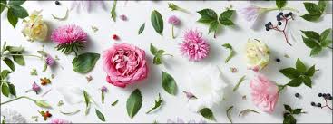 The flower collection features apparel crafted from woven flowers. Glasbild Flower Collection I Glasbilder Bilder Rahmen Accessoires Alles Wohnen Dieser Welt Im Einrichtungs Centrum Und Auf Ostermann De