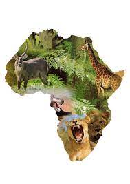 Similiar African Animals A Z List Keywords Afrika