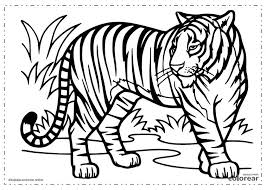 Dibujos De Tigres Para Colorear