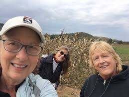 Ann-Marie Frink Obituary (2022)