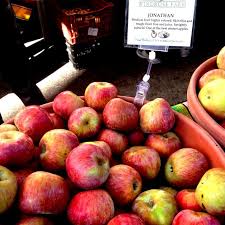 Jonathan Apples Jonathan Apples Apple Apple Information