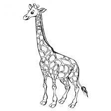 coloriage girafe simple dessin gratuit a imprimer licorne avec des ailes et un humain