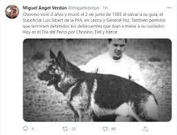 Después de completar su entrenamiento, fue catalogado como perro de presa, es decir, podía entrar en acción en situaciones de peligro. Por Que Se Celebra Hoy 2 De Junio El Dia Del Perro En La Argentina Sociedad El Intransigente