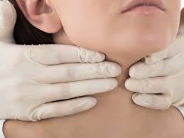 The thyroid is a gland. 17 Things You Need To Know About Your Thyroid
