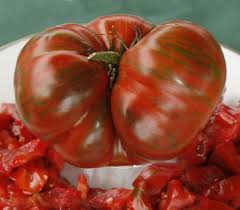 Chocolate Stripes One Of The Top 3 Tomatoes Of The 2007 Tomatofest Plants Are Very Large Indetermina Growing Organic Tomatoes Organic Tomatoes Tomato Seeds