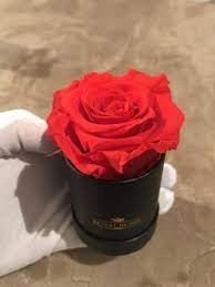 Mini Round Eternity Rose Box Last More Than 1 Year Preserved Roses Flower Delivery Beauty Forever