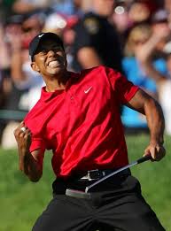 Tiger Woods Famous Fist Pump Woods Golf Tiger Woods Sports