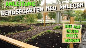 Zeichne einen maßstabsgetreuen plan von deinem garten inklusive gebäude, terrassen, bäume, beete und sträucher auf. Anleitung Gemusegarten Anlegen In Kurzer Zeit Rasen Wiese In Gemusebeete Umwandeln Youtube