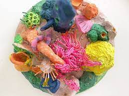 These pictures of this page are about:blue coral reef painting. How To Make A Clay Coral Reef Ocean Art Projects For Kids