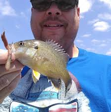 Starting a small food truck business, where to get permits?