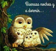 Pin De Damarys Frias En Buenas Noches Ilustraciones De Buho Pinturas De Buho Fotos De Buhos