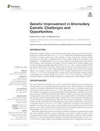 What does the camel's hump store? Pdf Genetic Improvement In Dromedary Camels Challenges And Opportunities