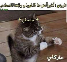 نكت انمي Funny Photo Memes Funny Picture Jokes Anime Memes Funny