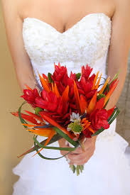 Weve used a orange lilies, birds of paradise, calla lilies and plumerias in a beautiful orange, hot pink and turquoise mix. Tropical Wedding Bouquet With Red Ginger And Bird Of Paradise In Costa Rica Wedding Flowers Costa Rica Beau Maisel