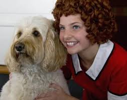 For us, it's about the entire experience from start to finish. Annie Sutter Buttes Labradoodles Goldendoodles Northern California Labradoodle Bernedoodle Puppies Famous Dogs