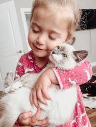 I will tell you I don't have a favorite cat. I now have to work