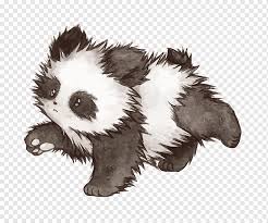 Here you can explore hq red panda transparent illustrations, icons and clipart with filter setting like size, type, color etc. Giant Panda Red Panda Drawing Panda Watercolor Painting Mammal Pencil Png Pngwing