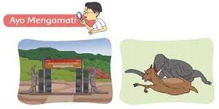 Kunci jawaban matematika kelas 7 buku paket. Kunci Jawaban Tema 5 Kelas 2 Halaman 188 190 191 192 Pembelajaran 3 Subtema 4 Pengalamanku