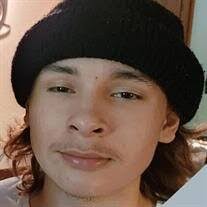 Joyce Gann's Instagram, Twitter & Facebook