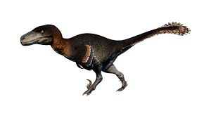Related to deinonychus and velociraptor, utahraptor is the largest dromaeosaur known to science. Utahraptor Prehistoric Kingdom Wiki Fandom