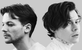 Can you like, brief me about the "Harry got the bee" thingy?